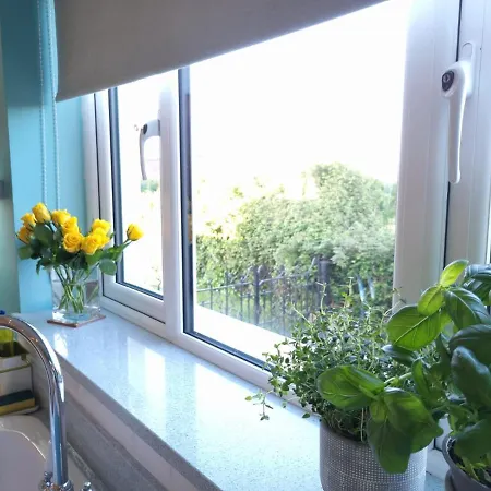 Field View, Whole Annexe